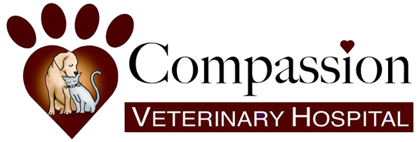 compassionate care vet services